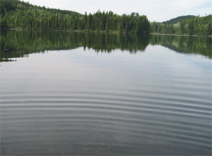 Lake Loop, after installation