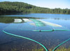 Geothermal Lake Loop